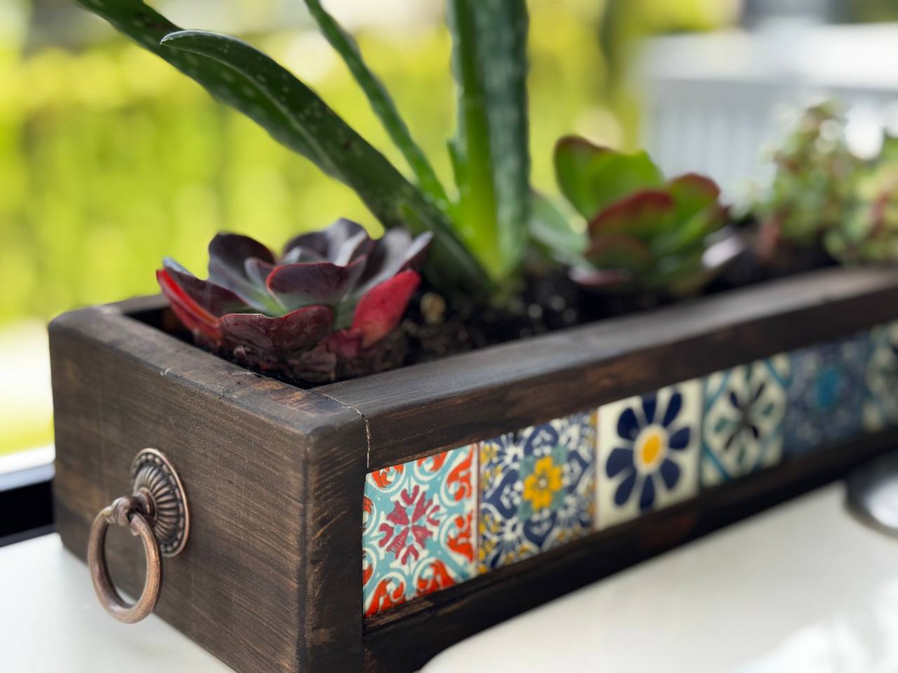 Talavera Tile Planter with succulents